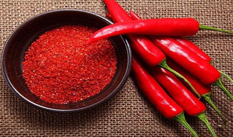 लाल मिर्च खाने के ये 8 फायदे अभी तक नहीं सुने होंगे आपने