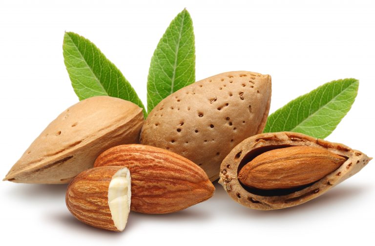 बादाम खाने के फायदे – Health Benefits of Almonds
